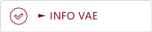 Info VAE