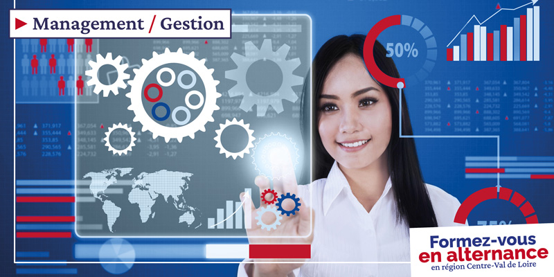 Licence - Gestion des organisations