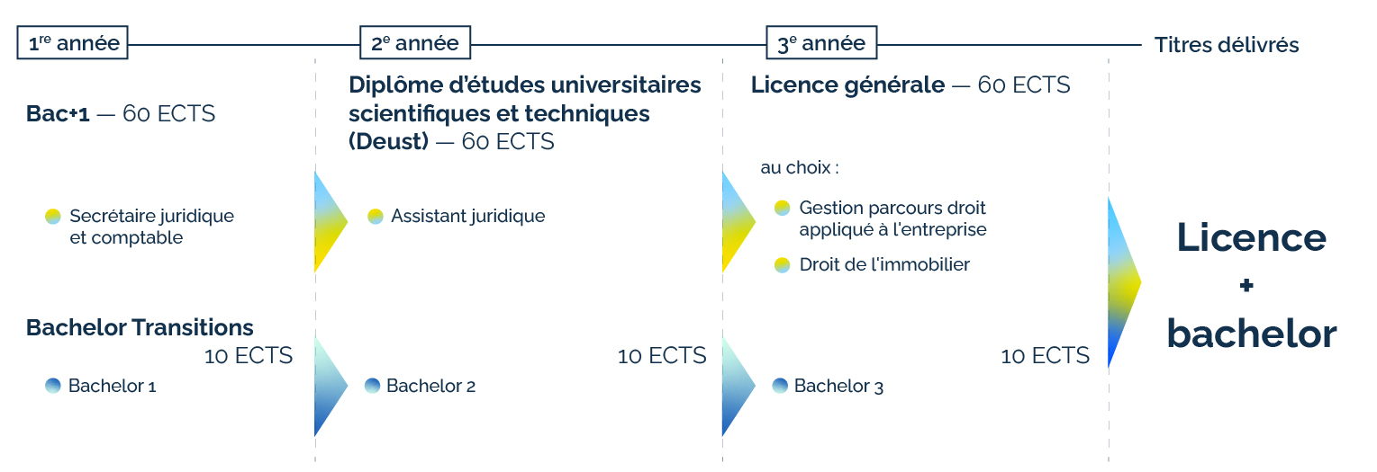 Schema Droit