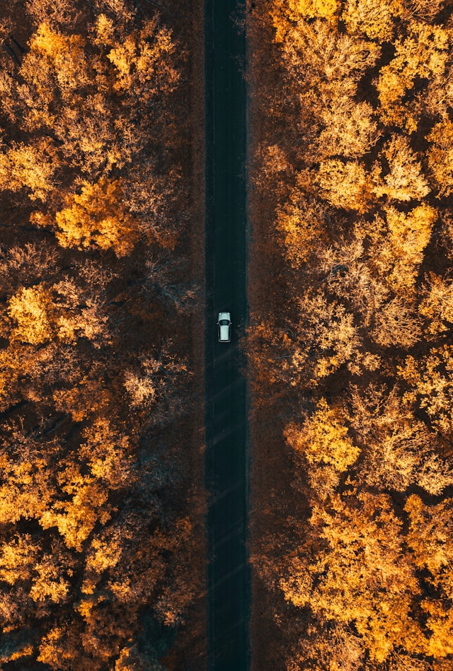 Transport durable