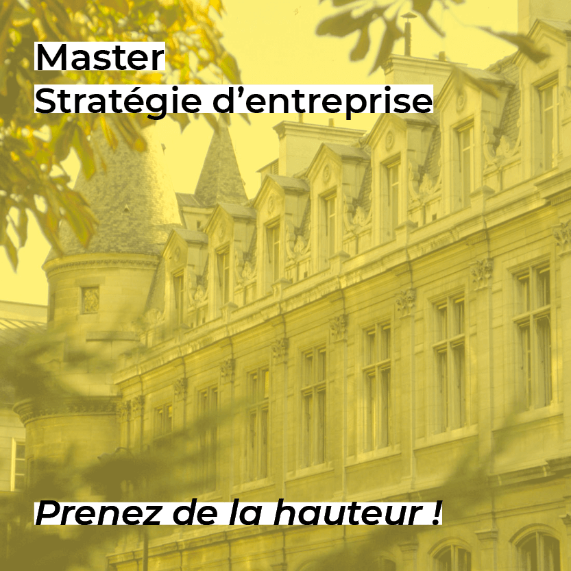 Master Stratégie d'entreprise