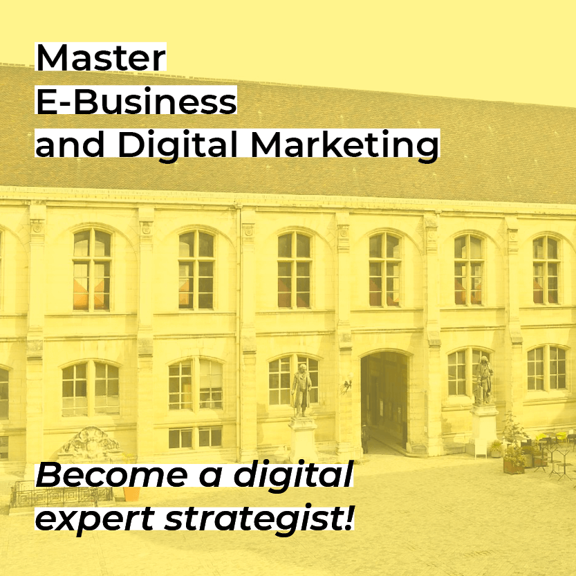 Master in Management E-Business and Digital Marketing