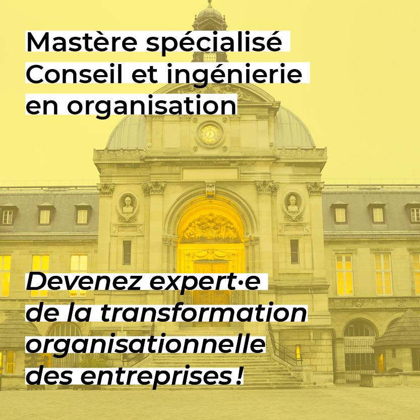 Mastère spécialisé Conseil et ingénierie en organisation